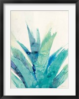 Framed Cool Aloe