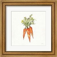 Framed 'Veggie Market V Carrots' border=