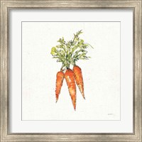 Framed Veggie Market V Carrots