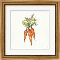 Framed 'Veggie Market V Carrots' border=