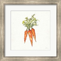 Framed Veggie Market V Carrots