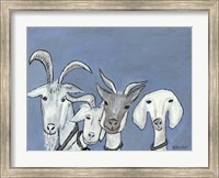 Framed Goats