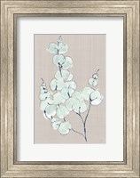 Framed Eucalyptus Branch III Blue Gray