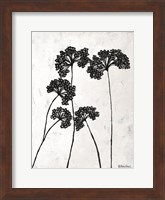 Framed Queen Anne's Lace I