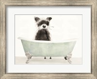 Framed Vintage Tub with Racoon