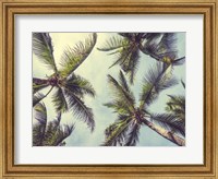 Framed Palms in the Sky