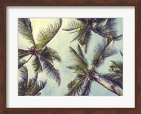 Framed Palms in the Sky
