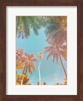 Framed Palms in Paradise