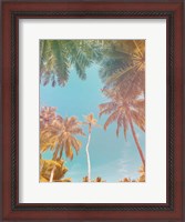 Framed Palms in Paradise