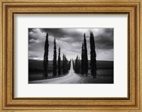 Framed Travelling in Tuscany