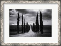 Framed Travelling in Tuscany