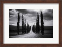 Framed Travelling in Tuscany