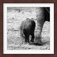 Framed Mama and Baby Elephant II
