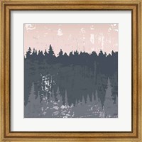 Framed Evening Forest II