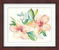 Framed Pastel Garden Hibiscus