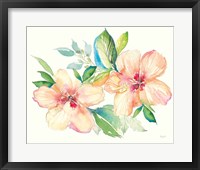 Framed Pastel Garden Hibiscus