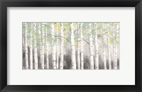 Framed Soft Birches Charcoal