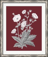 Framed 'Pomegranate Botanical VI' border=