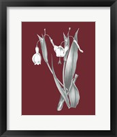 Framed 'Pomegranate Botanical II' border=