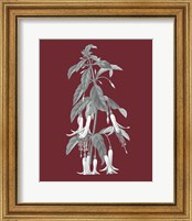 Framed 'Pomegranate Botanical I' border=