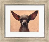 Framed Chihuahua