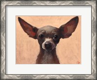 Framed Chihuahua