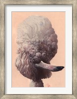 Framed Poodle