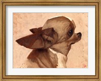Framed Profile-Chihuahua