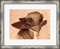 Framed Profile-Chihuahua