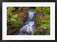 Framed Tranquility Falls