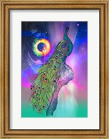 Framed Cosmic Peacock