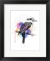 Framed Kookaburra