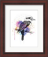 Framed Kookaburra