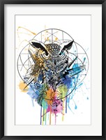 Framed Owl