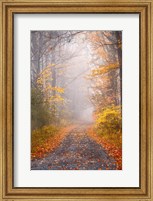 Framed Road and Autumn Mist