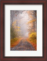 Framed Road and Autumn Mist