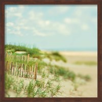 Framed Sand Dunes