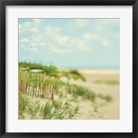 Framed Sand Dunes