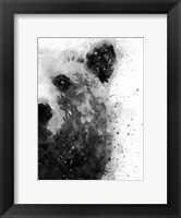 Framed Bear At Attention