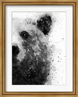 Framed Bear At Attention