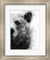 Framed Bear At Attention