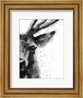 Framed Deer At Attention
