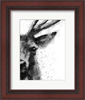 Framed Deer At Attention
