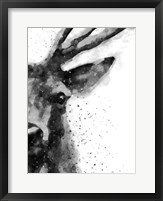 Framed Deer At Attention