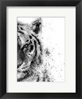 Framed Tiger At Attention