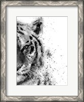 Framed Tiger At Attention