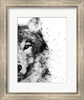 Framed Wolf At Attention