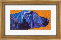 Framed Lab With Orange