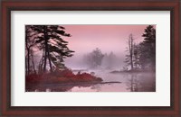 Framed Pink Fog