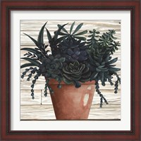 Framed 'Remarkable Succulents III' border=
